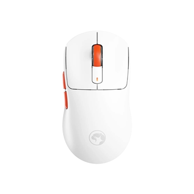 Mice